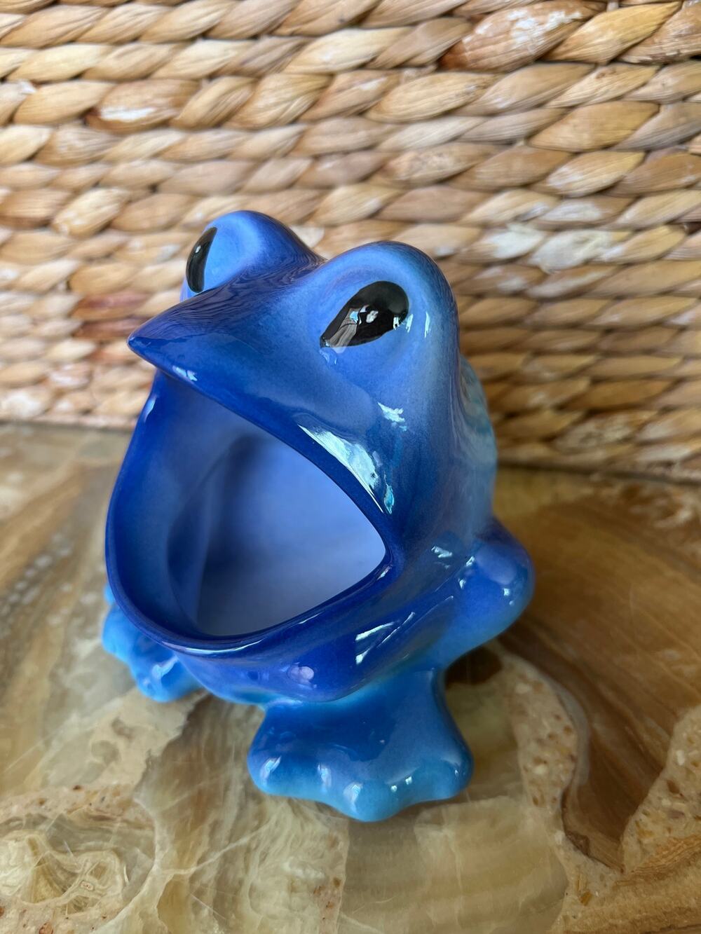 Blue Frog Holder: B&E J Wells from New Zealand